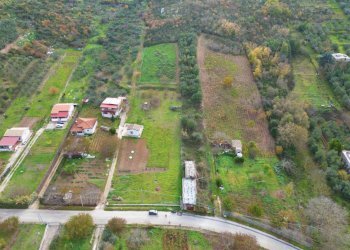 Foto 16 - Terreno agricolo via rebuttone
 
64, Altofonte - foto 15