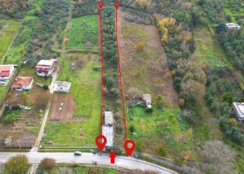 Foto 17 - Terreno agricolo via rebuttone
 
64, Altofonte - foto 16