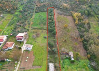 Foto 18 - Terreno agricolo via rebuttone
 
64, Altofonte - foto 17