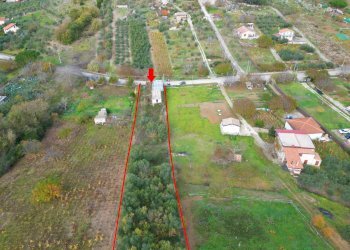 Foto 19 - Terreno agricolo via rebuttone
 
64, Altofonte - foto 18