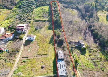 Foto 20 - Terreno agricolo via rebuttone
 
64, Altofonte - foto 19