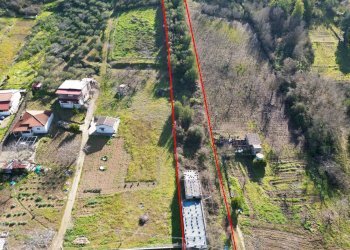 Foto 21 - Terreno agricolo via rebuttone
 
64, Altofonte - foto 20