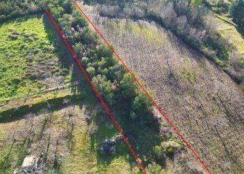 Foto 23 - Terreno agricolo via rebuttone
 
64, Altofonte - foto 22