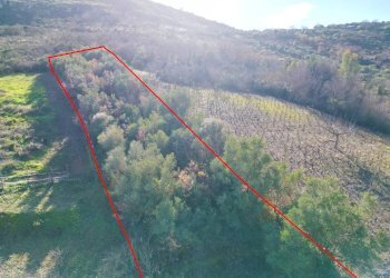 Foto 25 - Terreno agricolo via rebuttone
 
64, Altofonte - foto 24