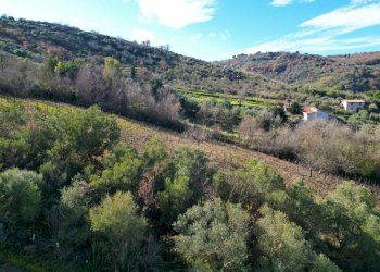 Foto 26 - Terreno agricolo via rebuttone
 
64, Altofonte - foto 25