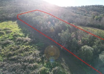 Foto 27 - Terreno agricolo via rebuttone
 
64, Altofonte - foto 26