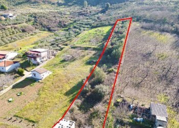 Foto 30 - Terreno agricolo via rebuttone
 
64, Altofonte - foto 29