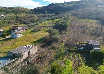 Foto 31 - Terreno agricolo via rebuttone
 
64, Altofonte - foto 30