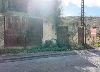 Foto 37 - Terreno agricolo via rebuttone
 
64, Altofonte - foto 36