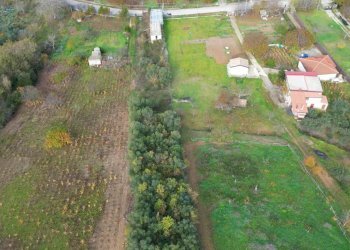 Foto 43 - Terreno agricolo via rebuttone
 
64, Altofonte - foto 42