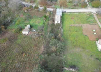 Foto 45 - Terreno agricolo via rebuttone
 
64, Altofonte - foto 44