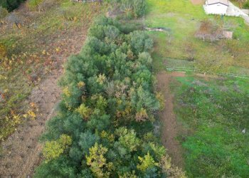 Foto 9 - Terreno agricolo via rebuttone
 
62, Altofonte - foto 4