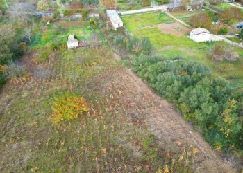 Foto 10 - Terreno agricolo via rebuttone
 
62, Altofonte - foto 5