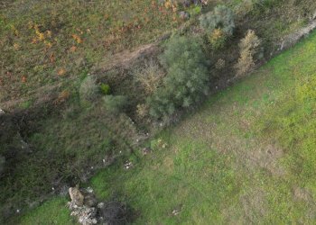 Foto 12 - Terreno agricolo via rebuttone
 
62, Altofonte - foto 7