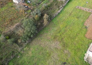 Foto 13 - Terreno agricolo via rebuttone
 
62, Altofonte - foto 8