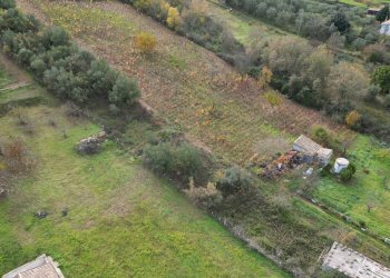 Foto 15 - Terreno agricolo via rebuttone
 
62, Altofonte - foto 10