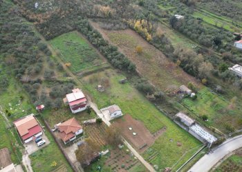 Foto 16 - Terreno agricolo via rebuttone
 
62, Altofonte - foto 11