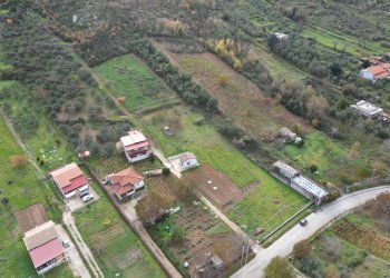 Foto 18 - Terreno agricolo via rebuttone
 
62, Altofonte - foto 13