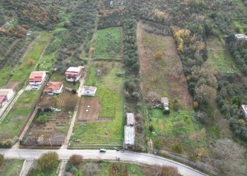 Foto 21 - Terreno agricolo via rebuttone
 
62, Altofonte - foto 16