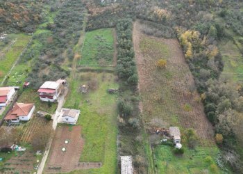 Foto 22 - Terreno agricolo via rebuttone
 
62, Altofonte - foto 17