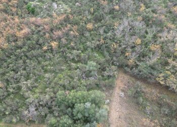 Foto 23 - Terreno agricolo via rebuttone
 
62, Altofonte - foto 18