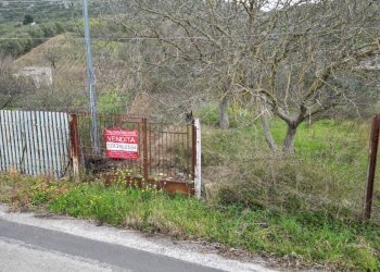 Foto 26 - Terreno agricolo via rebuttone
 
62, Altofonte - foto 21