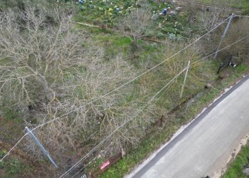 Foto 29 - Terreno agricolo via rebuttone
 
62, Altofonte - foto 24