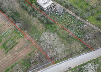 Foto 32 - Terreno agricolo via rebuttone
 
62, Altofonte - foto 27