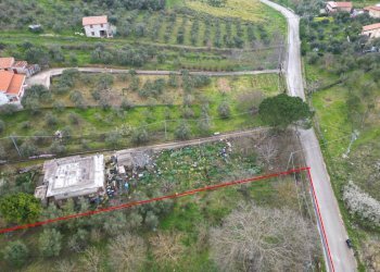 Foto 34 - Terreno agricolo via rebuttone
 
62, Altofonte - foto 29