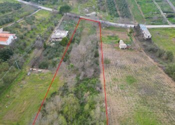 Foto 36 - Terreno agricolo via rebuttone
 
62, Altofonte - foto 31