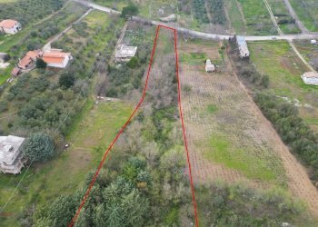 Foto 37 - Terreno agricolo via rebuttone
 
62, Altofonte - foto 32