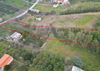 Foto 39 - Terreno agricolo via rebuttone
 
62, Altofonte - foto 34