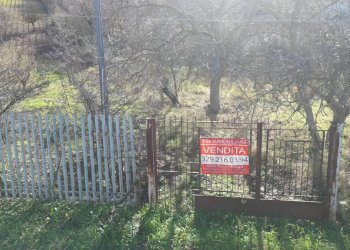 Foto 43 - Terreno agricolo via rebuttone
 
62, Altofonte - foto 38