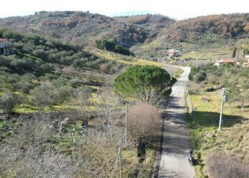 Foto 44 - Terreno agricolo via rebuttone
 
62, Altofonte - foto 39