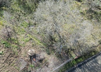 Foto 45 - Terreno agricolo via rebuttone
 
62, Altofonte - foto 40