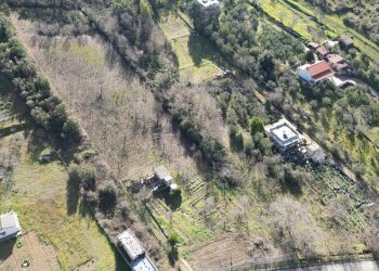 Foto 46 - Terreno agricolo via rebuttone
 
62, Altofonte - foto 41