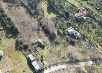 Foto 47 - Terreno agricolo via rebuttone
 
62, Altofonte - foto 42