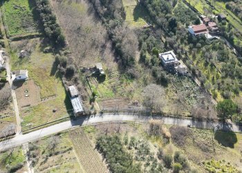 Foto 48 - Terreno agricolo via rebuttone
 
62, Altofonte - foto 43