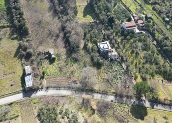 Foto 49 - Terreno agricolo via rebuttone
 
62, Altofonte - foto 44