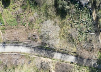 Foto 51 - Terreno agricolo via rebuttone
 
62, Altofonte - foto 46