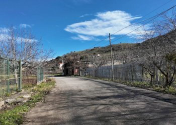 Foto 52 - Terreno agricolo via rebuttone
 
62, Altofonte - foto 47