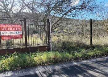 Foto 53 - Terreno agricolo via rebuttone
 
62, Altofonte - foto 48