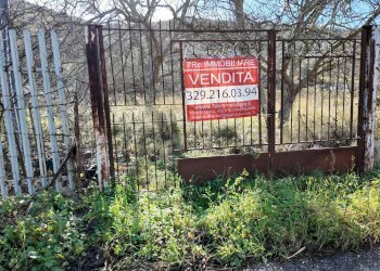 Foto 54 - Terreno agricolo via rebuttone
 
62, Altofonte - foto 49