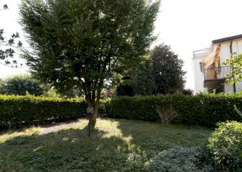 Foto 15 - Casa indipendente via dei Mille, Mogliano Veneto - foto 15