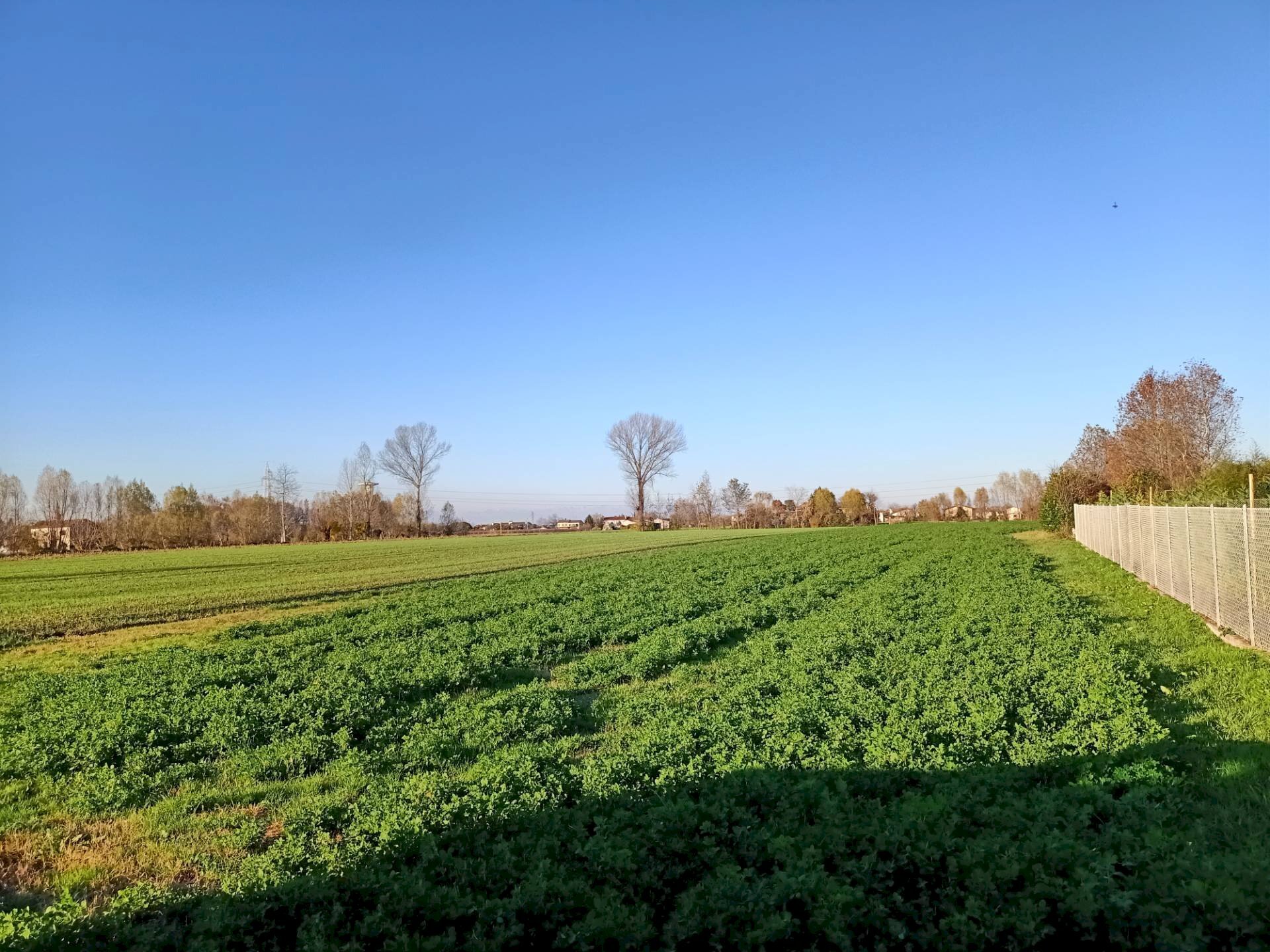 Foto 5 - Building land via vetrego, Mirano - photo 3