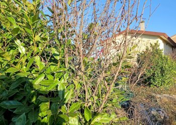 Foto 2 - Terreno edificabile via vetrego, Mirano - foto 2