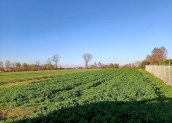 Foto 5 - Terreno edificabile via vetrego, Mirano - foto 3