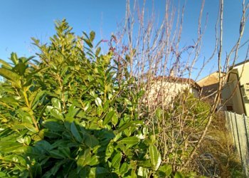 Foto 6 - Terreno edificabile via vetrego, Mirano - foto 4