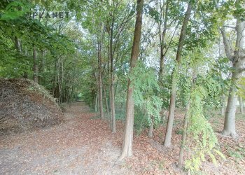 Foto 4 - Casa indipendente filanda, Zoppola - foto 4