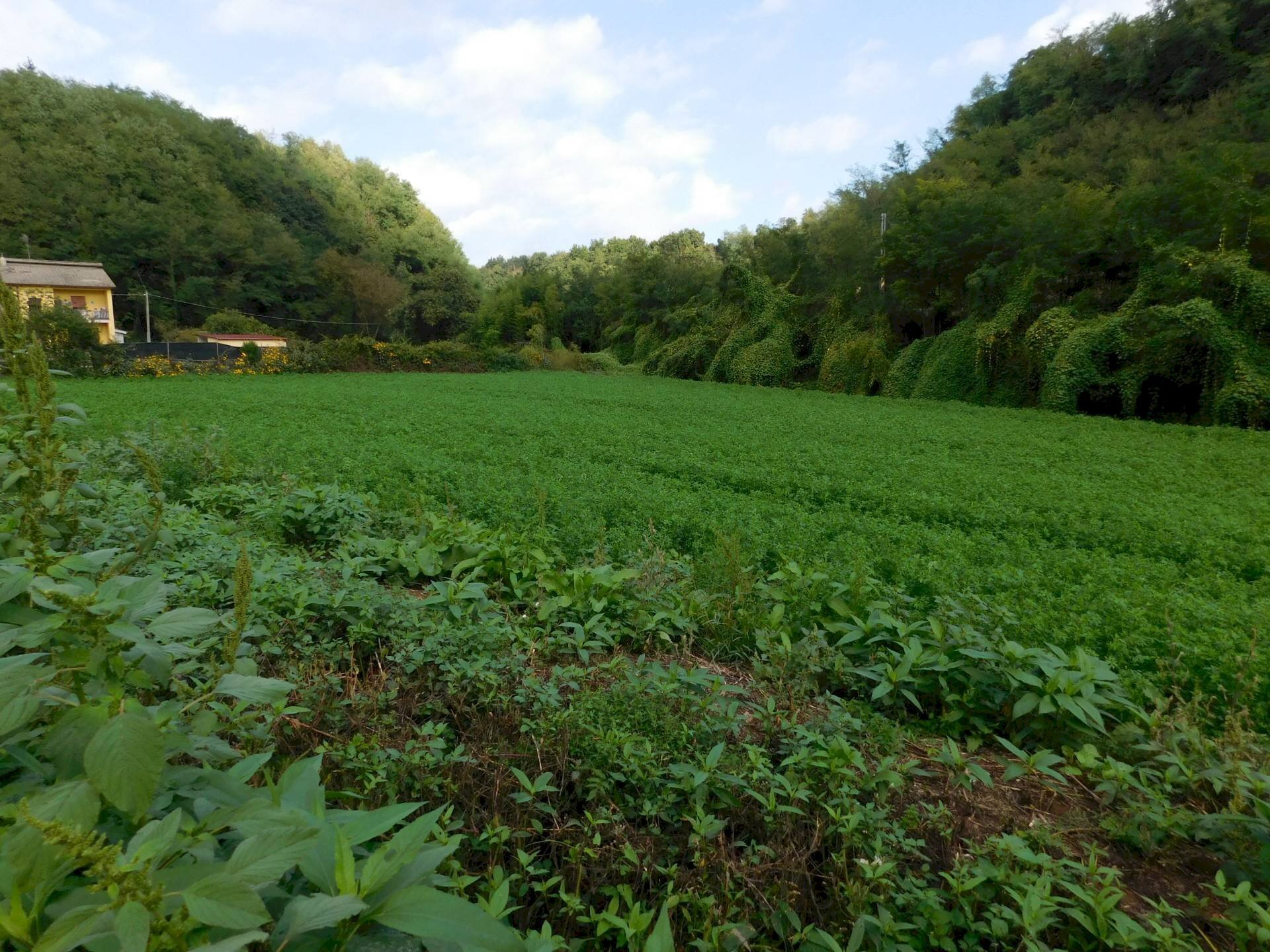 Foto 1 - Terreno agricolo Via S. Barnaba
 
snc, Valmontone - foto 1